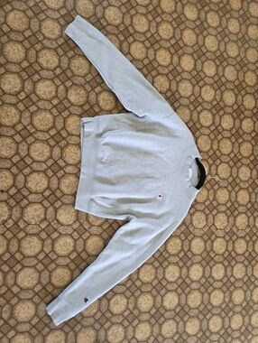 Champion Gray Crop Crewneck Sweatshirt